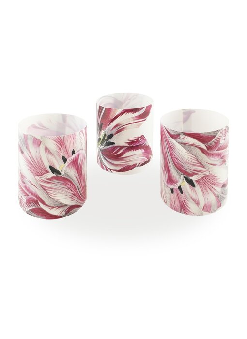 Kerzenschirm, Merian, Drei Tulpen