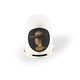 Thimble , Rembrandt, Saskia van Uylenburgh