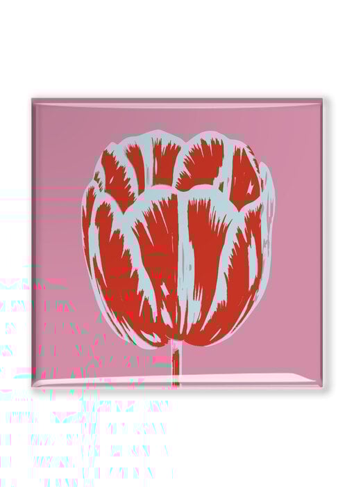 Kühlschrankmagnet, Tulip Pop Linie Rosa