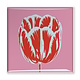 Aimant pour réfrigérateur, ligne Tulip Pop rose