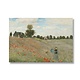 Cartel 50x70, Monet Campo de amapolas