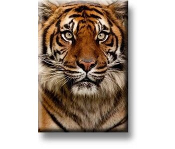 Imán de nevera, cabeza de tigre