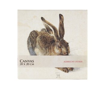 Canvas Print , 20x20 cm, Dürer, Haas