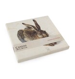 Canvas Print , 20x20 cm, Dürer, Hare Canvas Print , 20x20 cm, Dürer, Hare