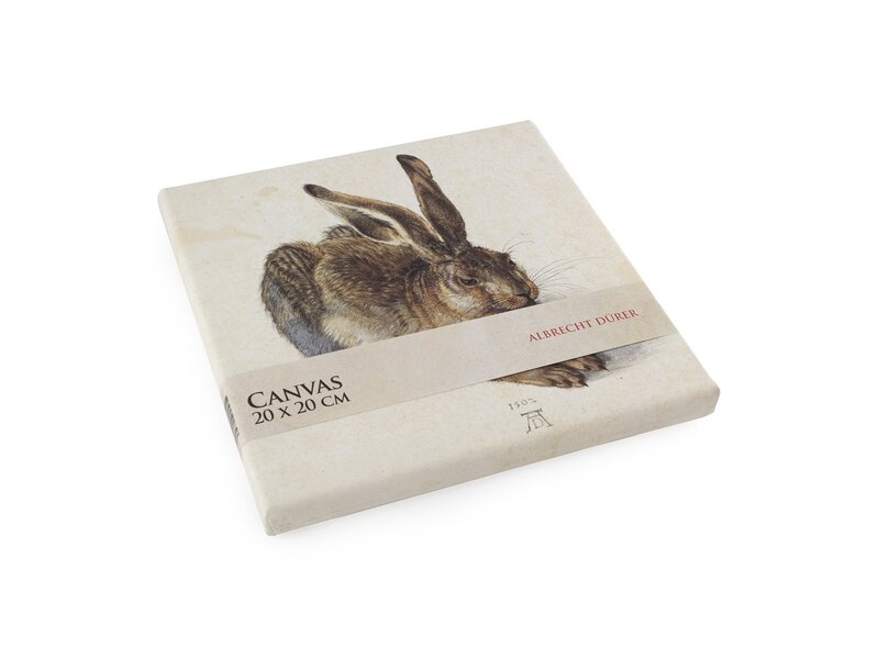 Canvas Print , 20x20 cm, Dürer, Hare