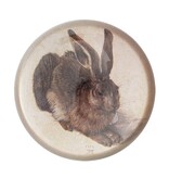 Glaskuppeln, Dürer, Feldhase