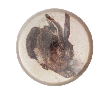 Pisapapeles de vidrio, Dürer, Liebre