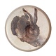 Pisapapeles de vidrio, Dürer, Liebre