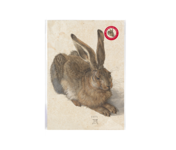 Reproduktion A4, Dürer, Feldhase