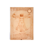 Reproduktion A4, Da Vinci, vitruvianischer Mann