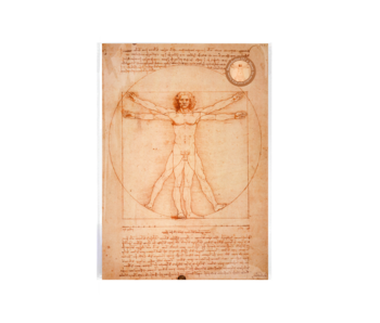 Reproduktion A4, Da Vinci, vitruvianischer Mann