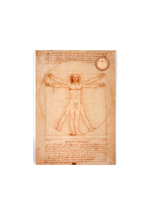 Reproduktion A4, Da Vinci, vitruvianischer Mann