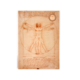 Reproduktion A4, Da Vinci, vitruvianischer Mann