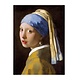 Diario del artista, Chica con un arete de perla, Vermeer