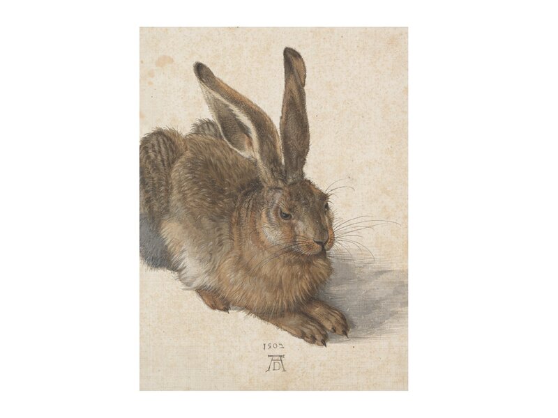 Carnet de croquis à couverture souple, Dürer, Lièvre