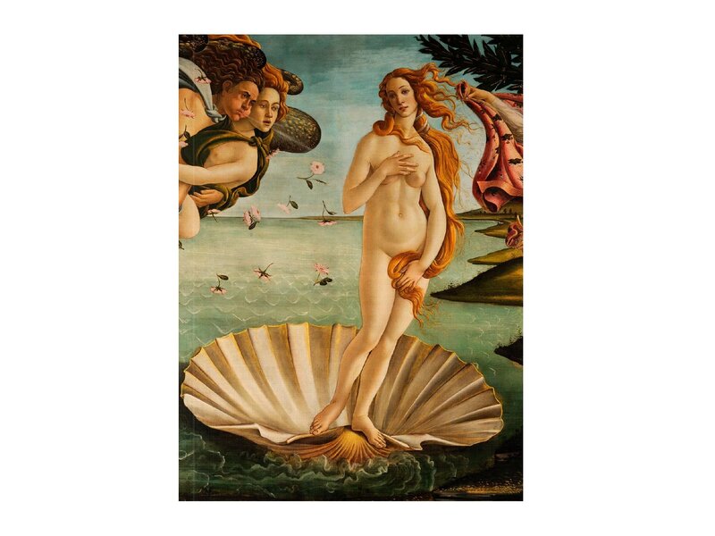 Softcover art sketchbook, Botticelli, Birth of  Venus