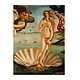 Cahier d'artiste, Botticelli, naissance de Vénus