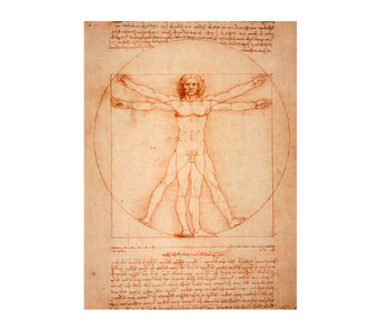 Artist Journal, Da Vinci, Vitruvian Man