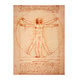 Cahier d'artiste, Da Vinci, l'homme de Vitruve