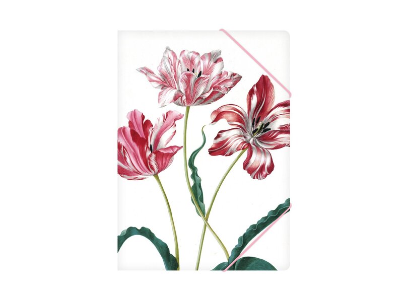 Paper file folder with elastic closure, Merian, Three tulips