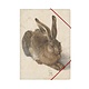Chemise à dossier en papier avec fermeture élastique, A4,Dürer, Lièvre