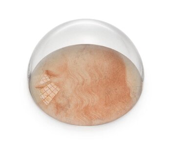 Glass Dome,   Da Vinci, Selfportrait