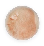 Glass Dome,    Da Vinci, Self portrait