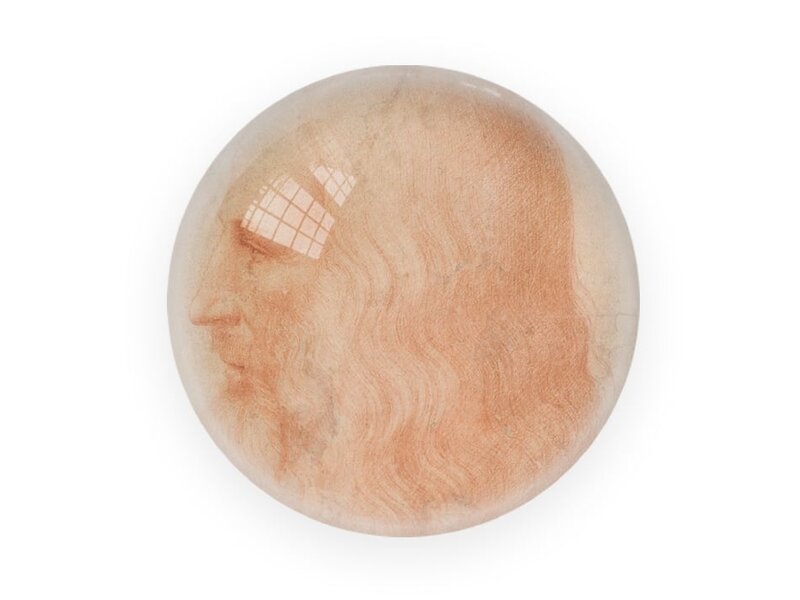 Glass Dome,    Da Vinci, Self portrait