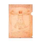 File Sheet A4, Da Vinci,  Da Vinci, Vitruvian Man