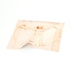 Lens cloth, 15 x 15 cm, Da Vinci, Vitruvian Man