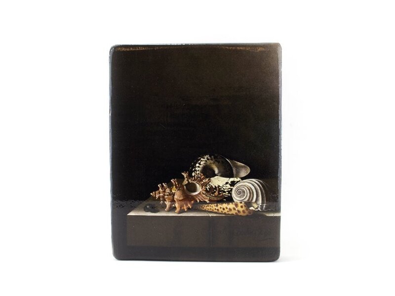 Masters-on-wood,Schelpen op een stenen plint, Adriaen Coorte, 250x195 mm