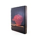 Masters-on-wood, Stilleven met kom aardbeien, Adriaen Coorte