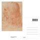 Postkarte, Da vinci, Selbstporträt