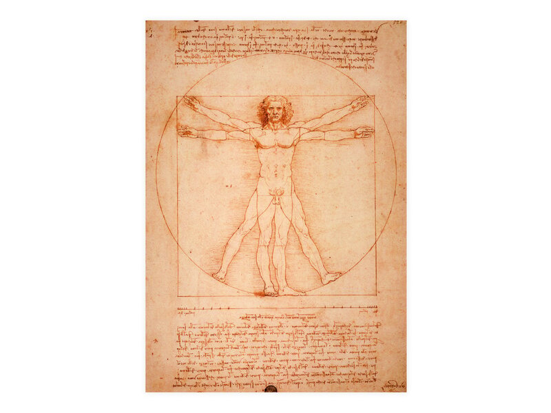 Postcard,  Da Vinci, Vitruvian Man