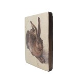 Masters-on-wood, Dürer, Hare,  265 x 195mm