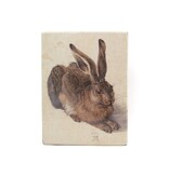 Maestros en madera, Dürer, liebre, 265 x 195mm