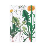 Softcover Book, A5,  Dandelion, Hortus Botanicus Softcover Book, A5,  Dandelion, Hortus Botanicus
