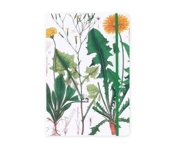 Softcover Book, A5,  Dandelion , Hortus Botanicus