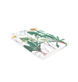 Softcover-Notizbuch, A5, Löwenzahn, Hortus Botanicus