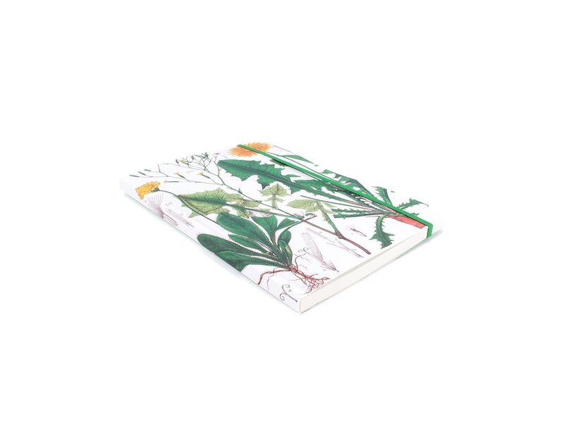 Softcover-Notizbuch, A5, Löwenzahn, Hortus Botanicus