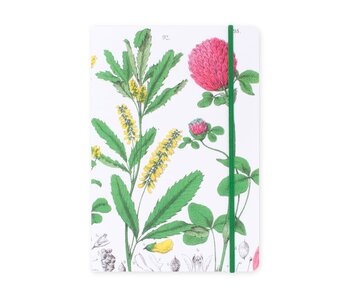 Softcover Book, A5, Red clover flower,  Hortus Botanicus