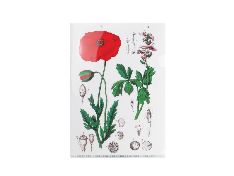L-Ordner A4-Format, Mohn, Hortus Botanicus
