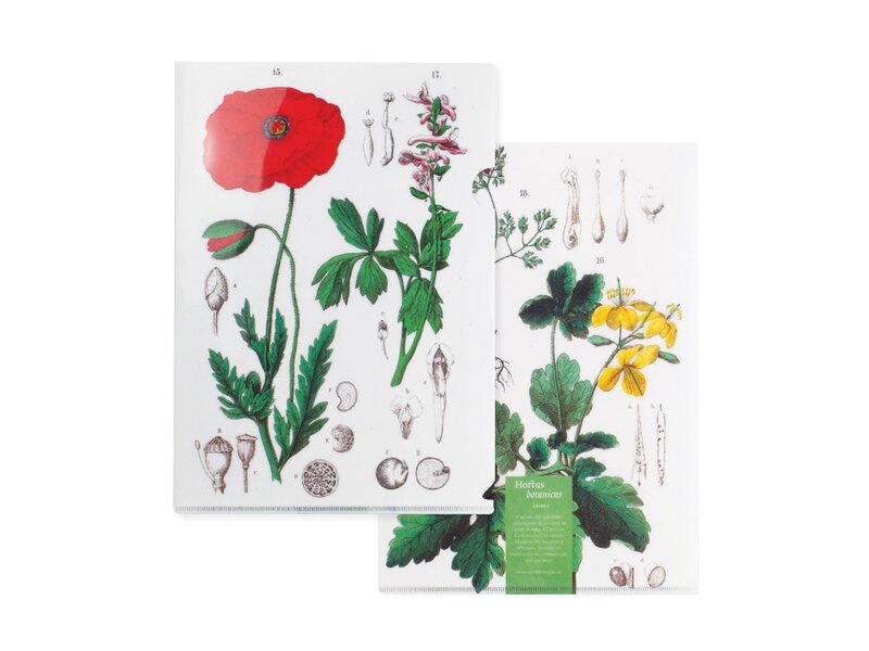 L-Ordner A4-Format, Mohn, Hortus Botanicus