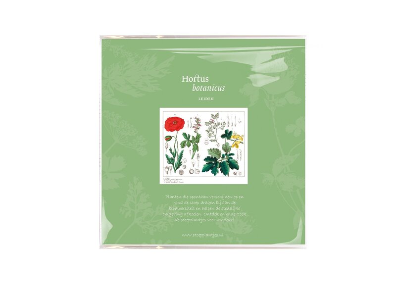 Brillenputztuch, 15 x 15 cm,  Mohn, Hortus Botanicus