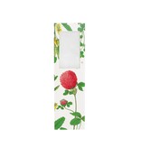 Magnifying Bookmark, Red clover flower,  Hortus Botanicus