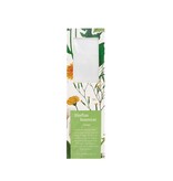 Magnifying Bookmark, Dandelion , Hortus Botanicus
