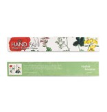 Éventail, Coquelicot, Hortus Botanicus Éventail, Coquelicot, Hortus Botanicus