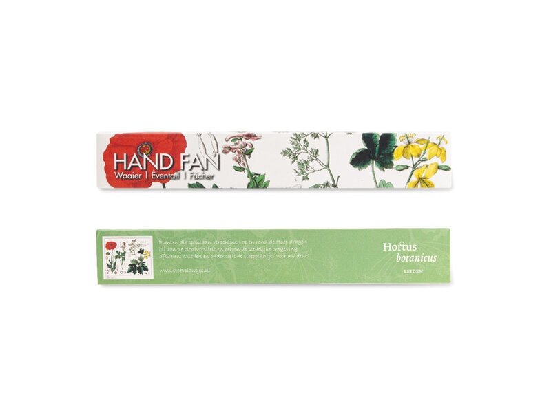 Fächer, Mohn, Hortus Botanicus