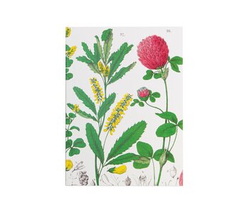 Heft, A5,  Rotkleeblume, Hortus Botanicus