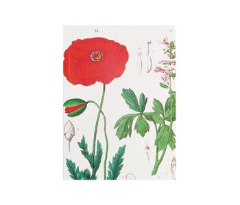 Glued Exercise book , A5, Poppy, Hortus Botanicus